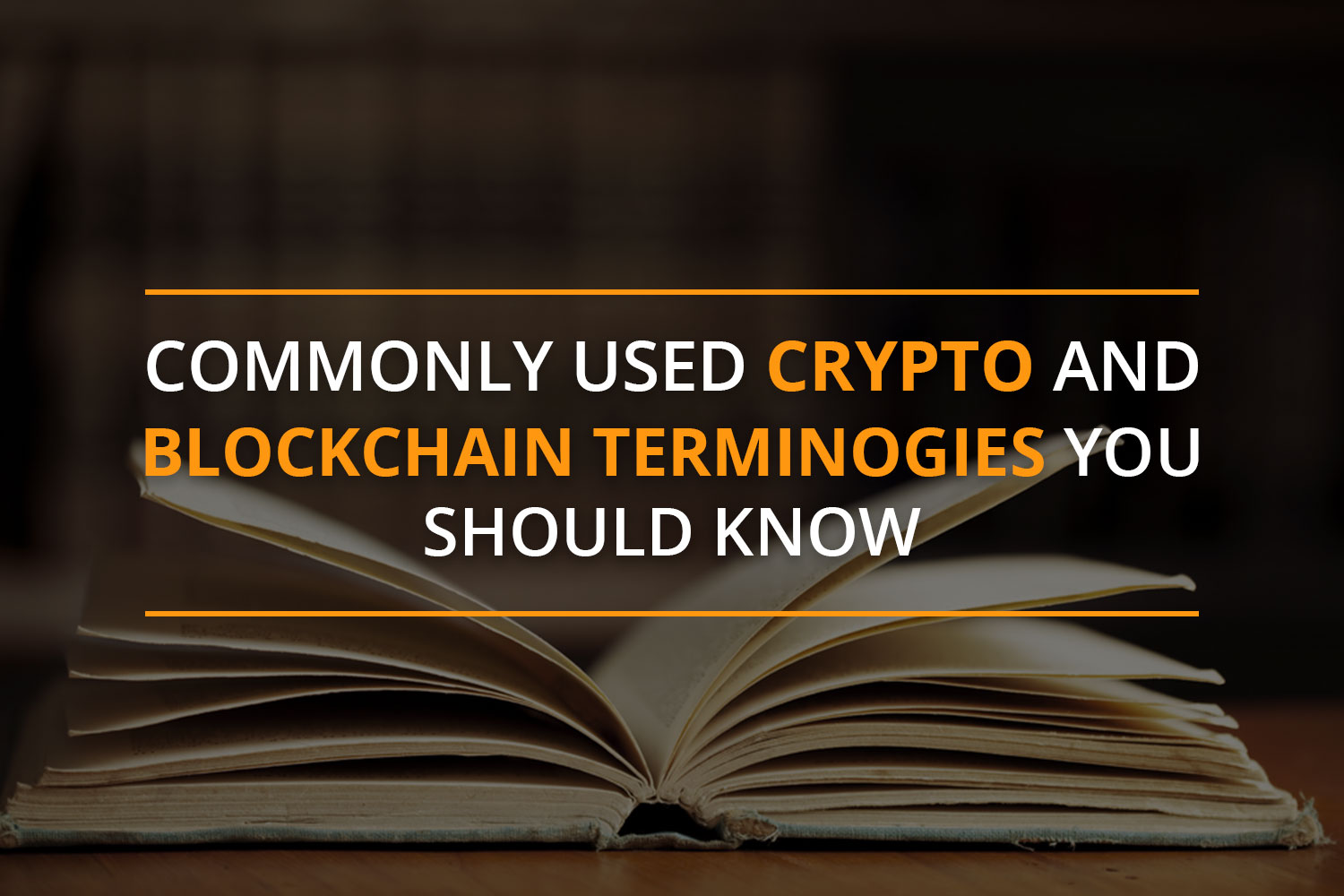 commonly used crypto and blockchain terminologies you should know