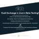 Kudi Exchange is Live in Beta Testing