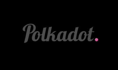 Polkadot Doubles in Its Price within 7 Days cryptotvplus