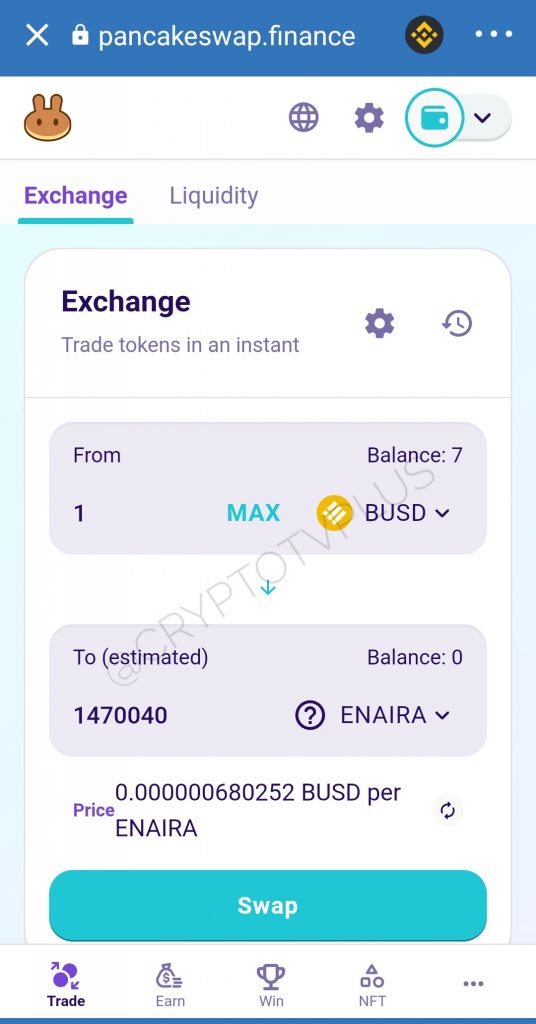 eNaira on Binance smart chain