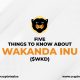 Wakanda Inu africa's first meme token