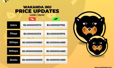 Wakanda Inu Price Update