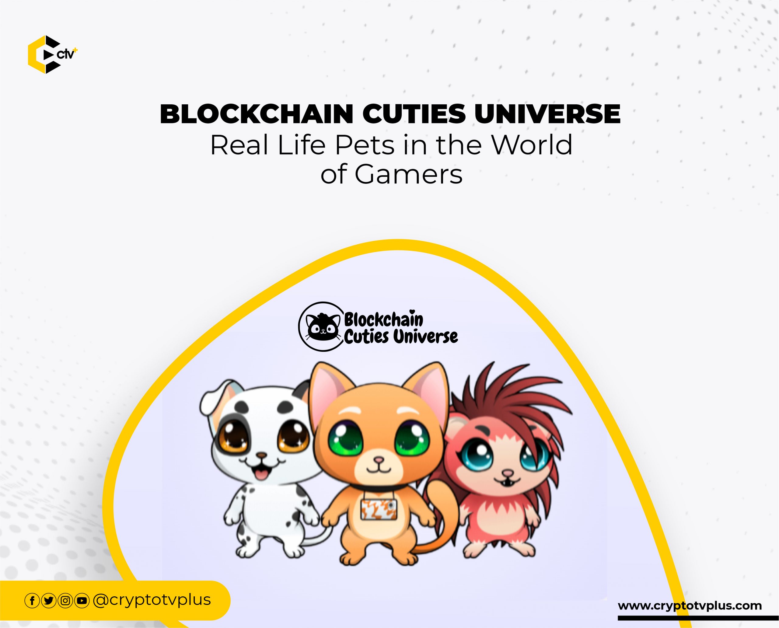 Blockchain Cuties Universe: Real Life Pets in the World of Gamers | CryptoTvplus: DeFi, NFT, Bitcoin, Ethereum Altcoin, Cryptocurrency & Blockchain News, Interviews, Research, Shows