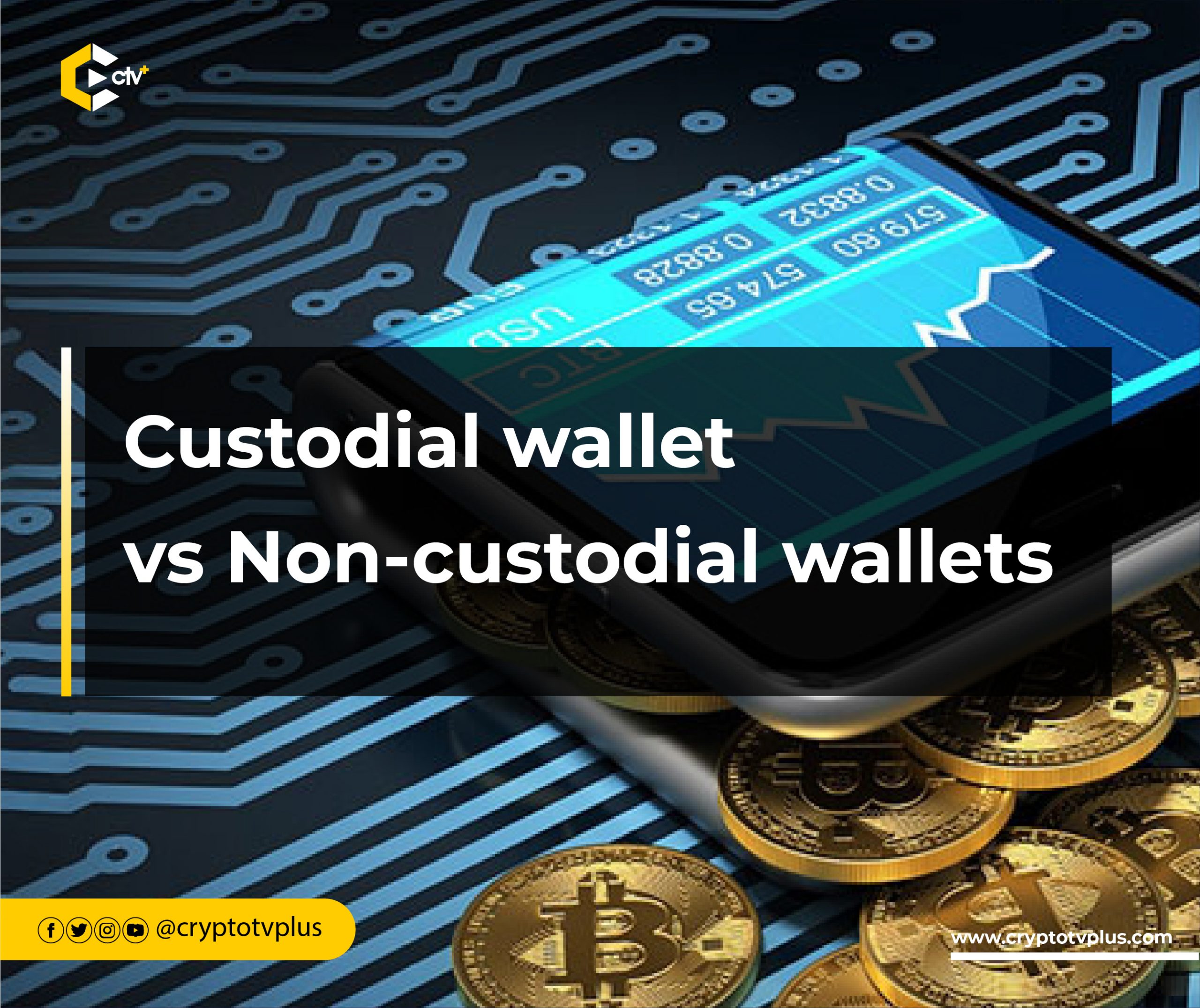 Custodial-wallet-vs-Non-custodial-wallets--scaled.jpg