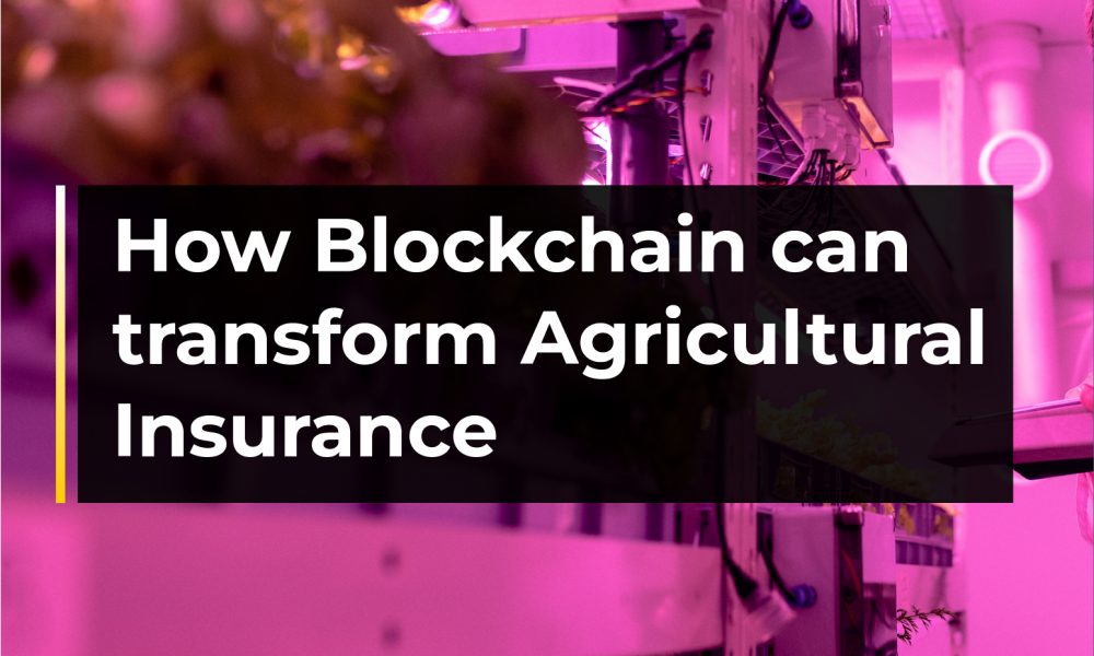 How Blockchain Can Transform Agricultural Insurance