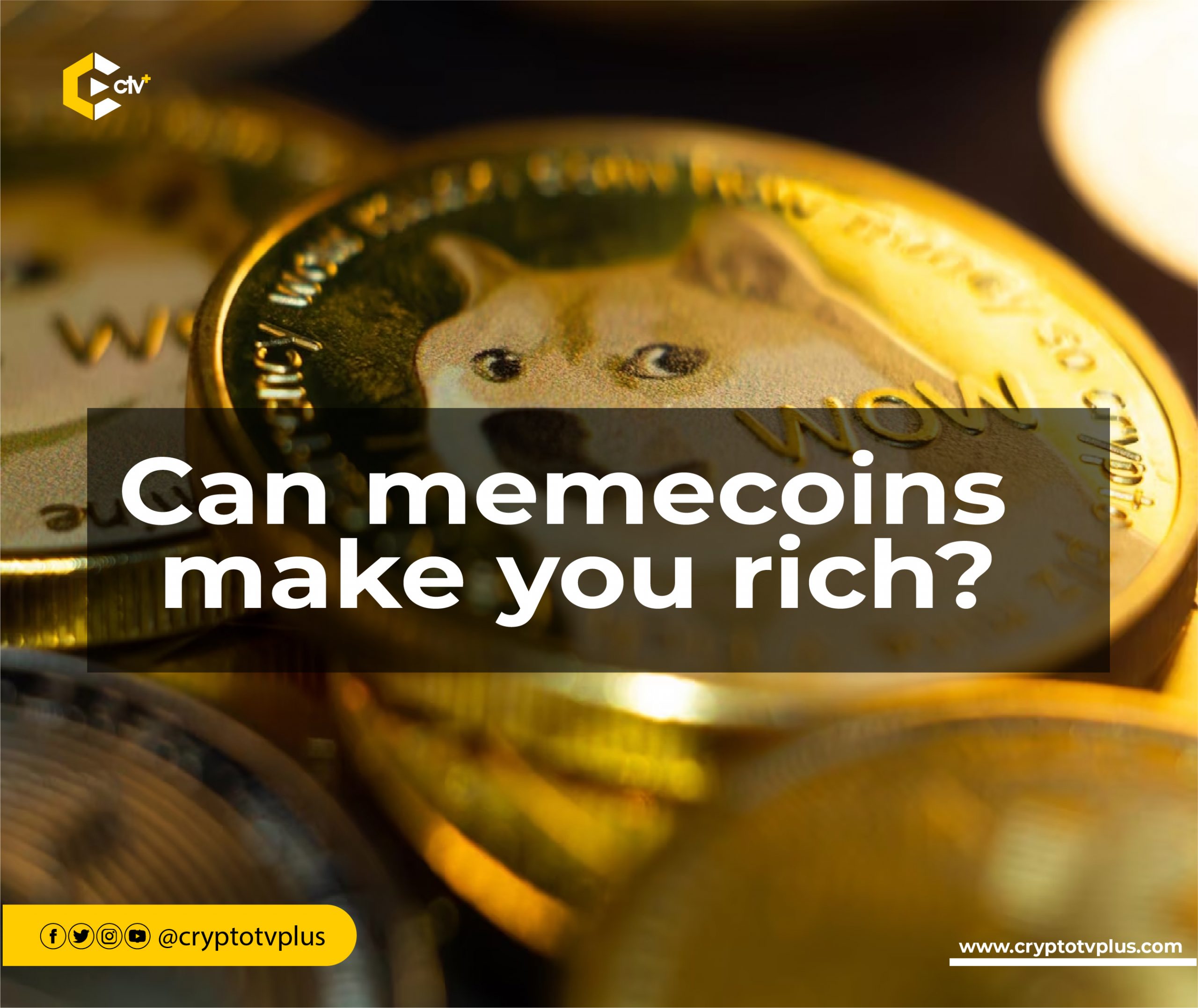Can Memecoins Make You Rich?  CryptoTvplus - The Leading