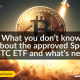 Spot Bitcoin (BTC) ETF approval sparks interest in the cryptocurrency world, but what does it mean, and what's next?