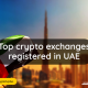 Discover the leading crypto exchanges operating in the UAE, providing secure and reliable trading platforms for digital asset enthusiasts.