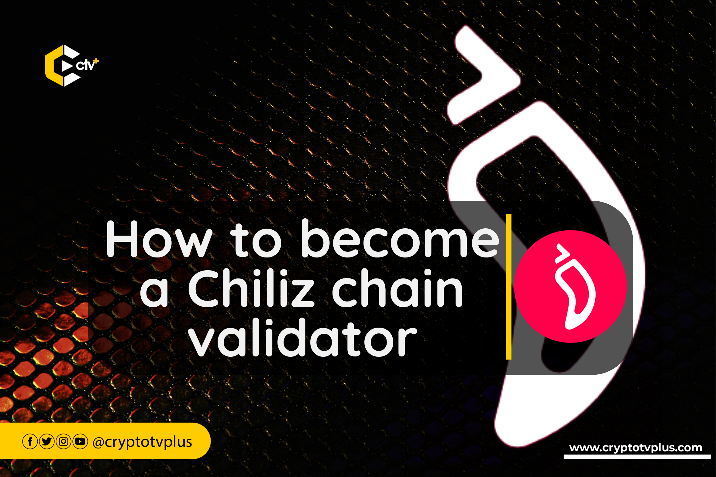 Learn how to become a Chiliz chain validator and contribute to the network's security and decentralization. Join the validator community today!