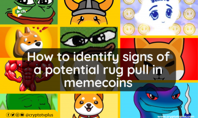 How to identify signs of a potential rug pull in memecoins