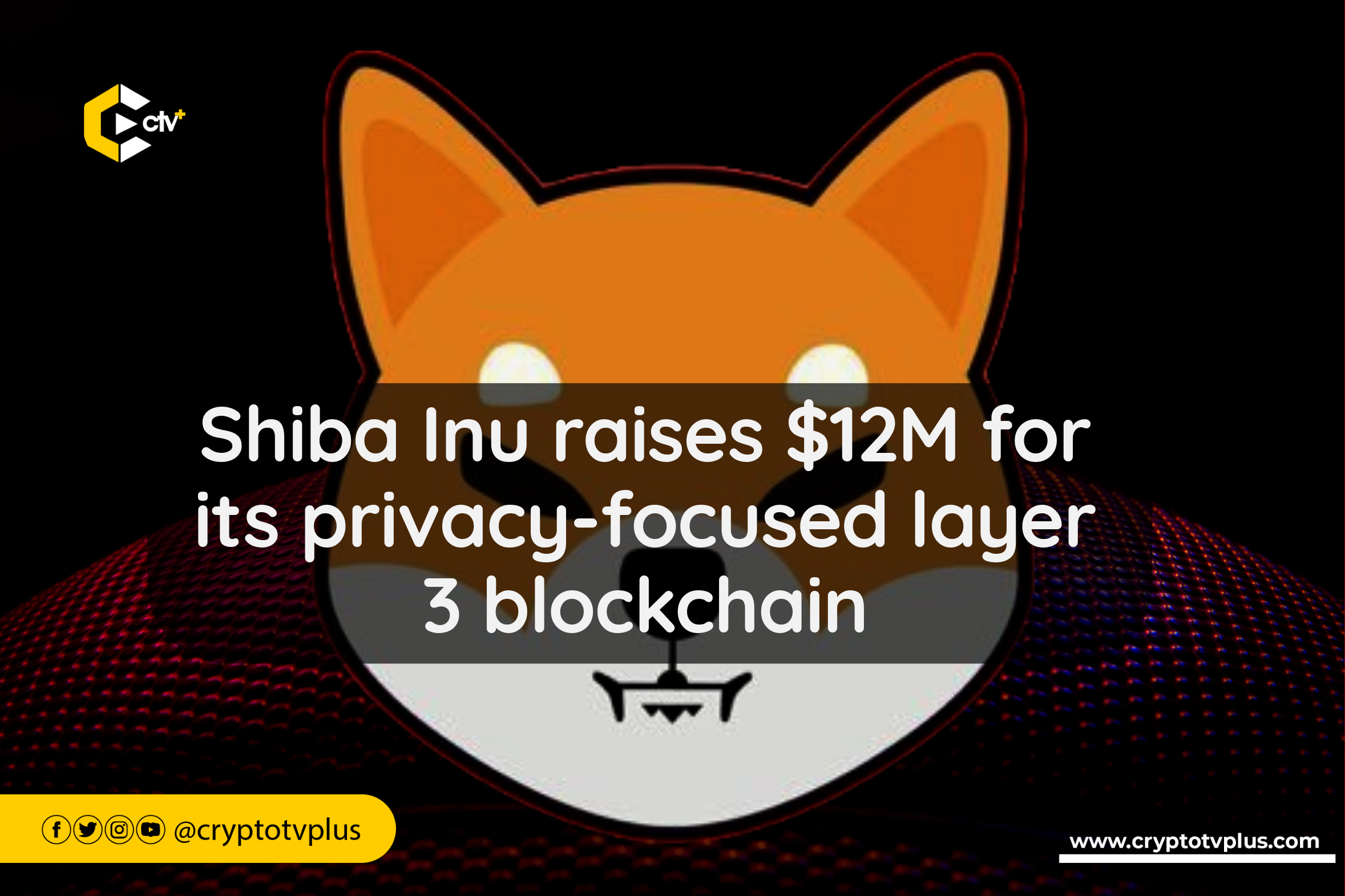 Shiba Inu successfully raised $12 million in funding for TREAT, its new privacy-centric layer 3 blockchain aimed at addressing privacy and trust.