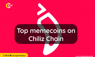 Explore the leading memecoins making waves on the Chiliz Chain, showcasing a diverse range of digital currencies with strong community support.