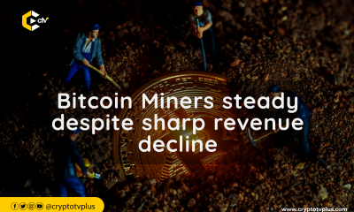 Bitcoin Miners steady despite sharp revenue decline