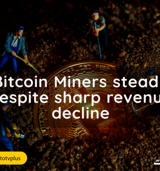 Bitcoin Miners steady despite sharp revenue decline