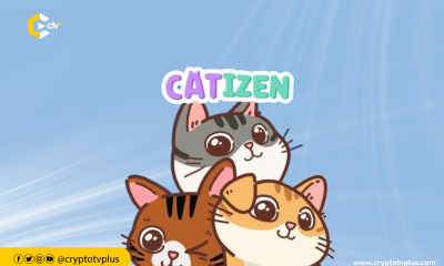 Catizen’s ambitious new strategy aims to transform from a single game offering to a comprehensive multi-gaming hub, enhancing user experience.