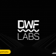 DWF Labs is set to launch an innovative crypto education program in partnership with top universities, aiming to advance blockchain knowledge.