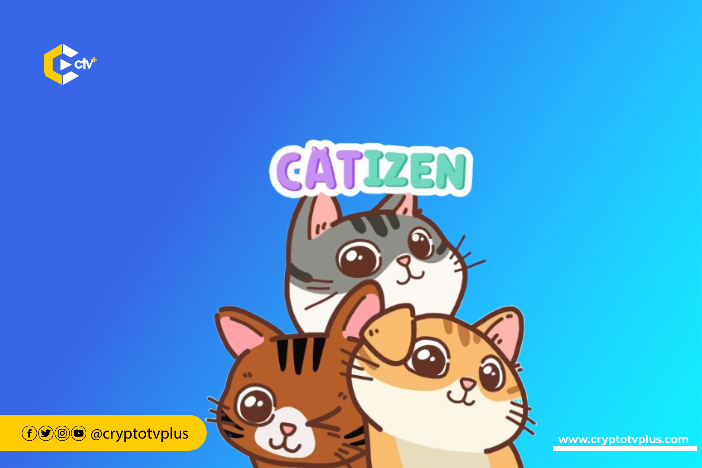 How Catizens own over 40% of Telegram Premium members, 1.5 million on-chain users, and 550,000 paying users