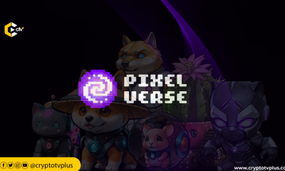Discover the top 10 essential insights every Web3 gamer needs to know about Pixelverse to enhance your gaming experience.