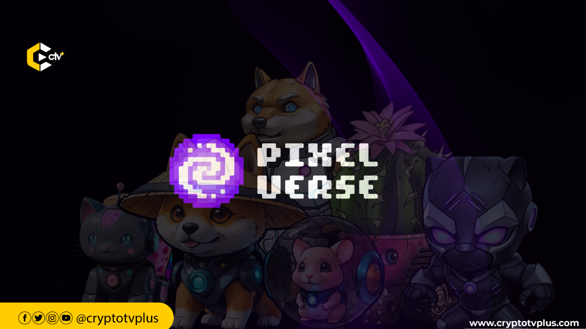 Discover the top 10 essential insights every Web3 gamer needs to know about Pixelverse to enhance your gaming experience.