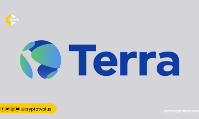 Bankruptcy could compel Terraform Labs to shut down its operations, resulting in the closure of its products and services.