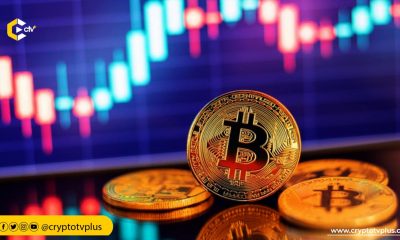 In the third quarter of 2024, both Gold and the Japanese Yen outperformed Bitcoin, as the cryptocurrency market experienced a notable decline.