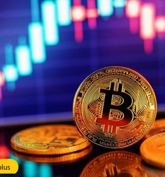 In the third quarter of 2024, both Gold and the Japanese Yen outperformed Bitcoin, as the cryptocurrency market experienced a notable decline.