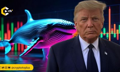 Chainalysis reports that 94% of TRUMP & MELANIA tokens are held by 40 wallets, each with over $10M, indicating centralization among wealthy investors