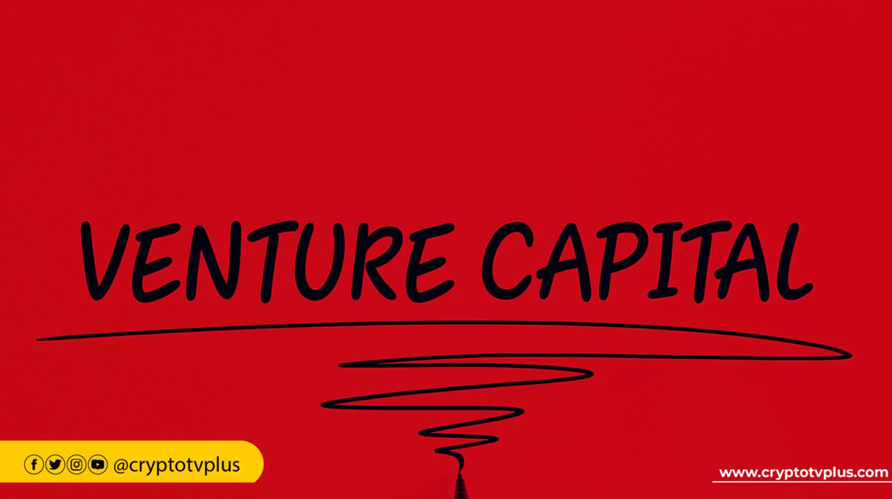 crypto VC deals fell 46% in 2024 from Q1 to Q4. despite fewer deals, Q4 investment value rose as investors focused on high-value opportunities.