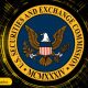 The SEC is delaying crypto regulations until a new chair is confirmed, following departures of key figures, as stated by Hester Peirce on Feb 11.