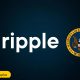 SEC's Crenshaw criticizes the Ripple settlement, warning it undermines investor protection and regulatory clarity, eroding the SEC's courtroom credibility.