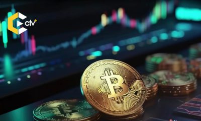 Adam Back warns against selling Bitcoin, likening it to a bad casino bet due to high volatility, emphasizing the risks of trying to time the market.