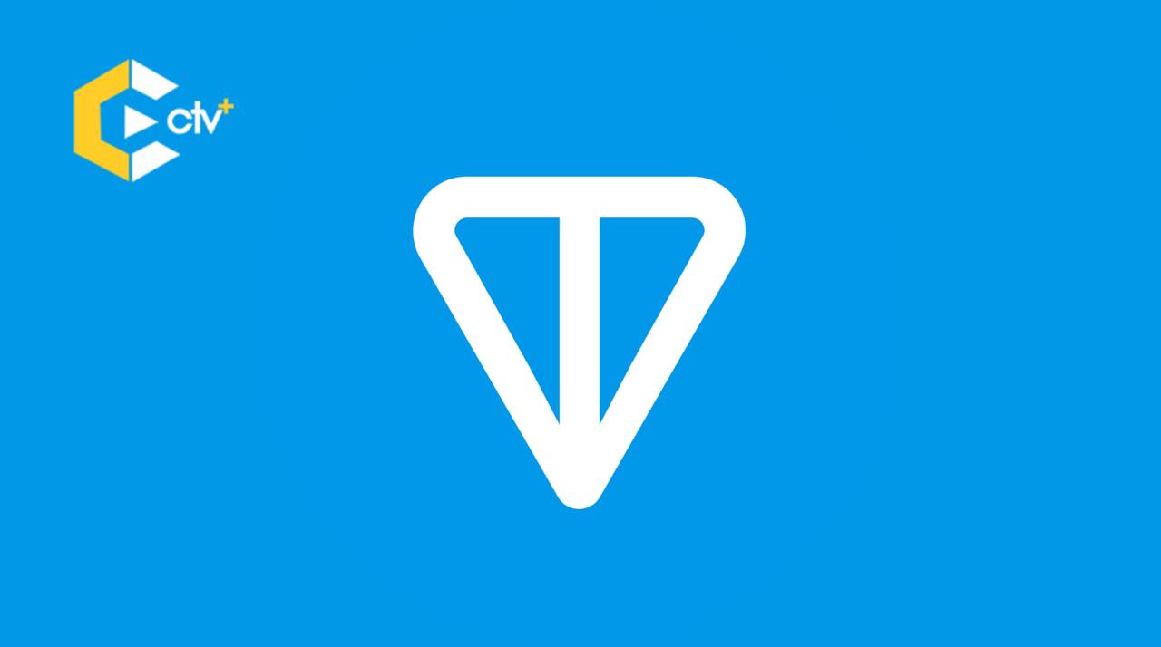 TON Foundation appoints ex-Visa exec Nikola Plecas as VP of Payments to lead payment system development, integration, and compliance for Telegram's users.